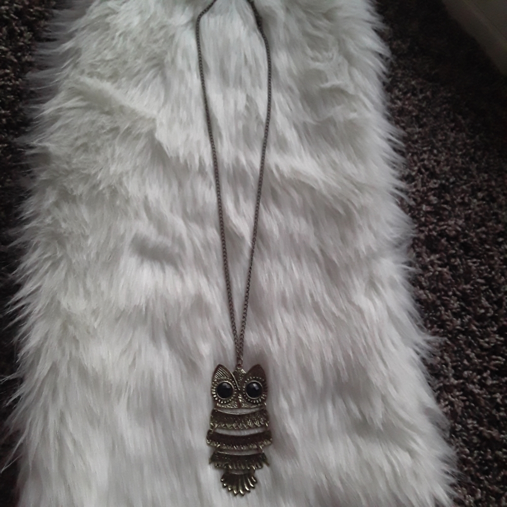 🔥Long Owl necklace
